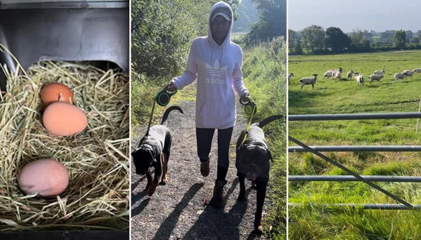 Şöhreti buldu ama bedelini de fazlasıyla ödedi: Ünlü şarkıcı köyüne döndü... Artık doğanın kollarında yaşıyor.. Taze yumurtalar kümesten
