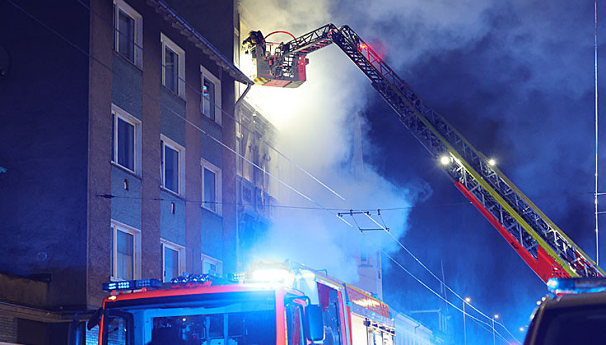 Solingen canisi itiraf etti