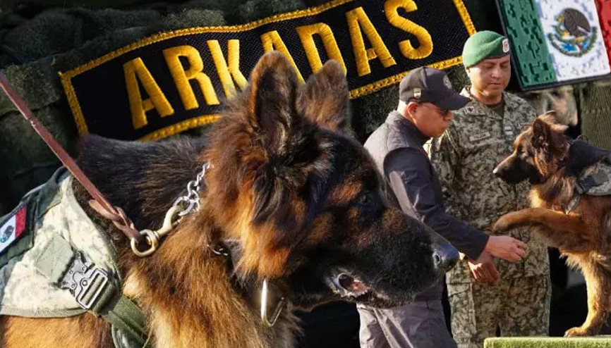 Türkiyeden hediye edilen yavru köpek büyüdü, onbaşı rütbesi aldı