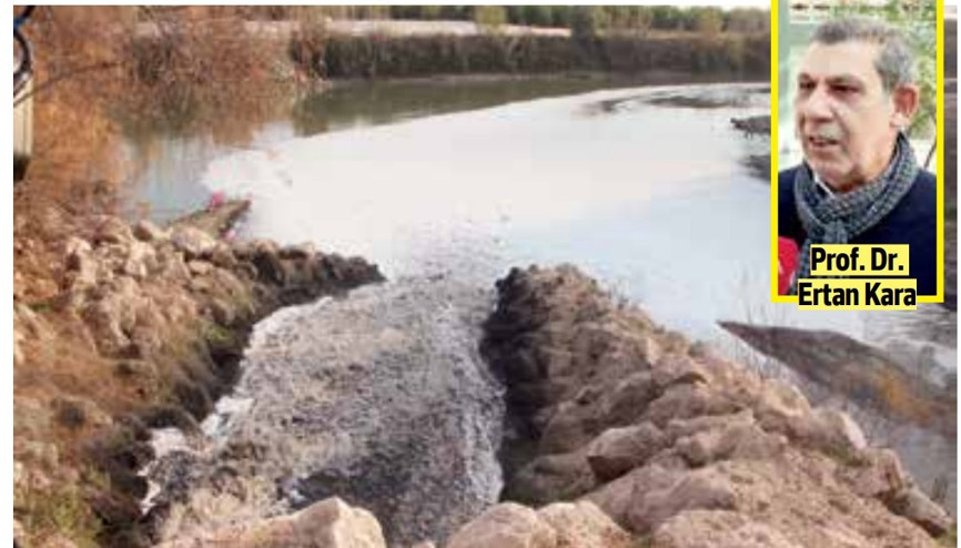 Ceyhan Nehri için ‘botulismus’ uyarısı: Buradan balık tüketmeyin