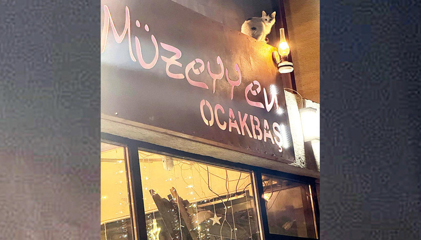 ‘Müzeyyen’ tazminat ödeyecek