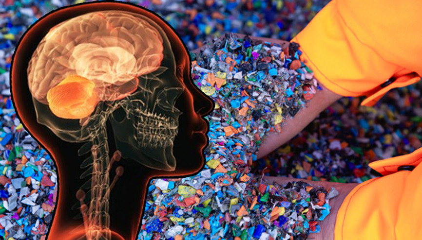 İnsan beyninde bir kaşık dolusu plastik bulundu Yemeklerden ve havadan geçiyorlar, tek tek hücrelerin içine yerleşiyorlar