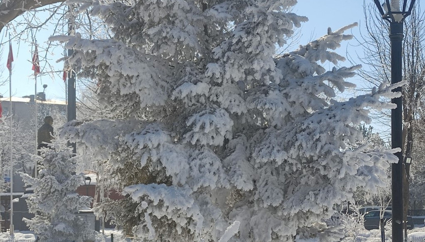 Türkiyenin en soğuk yeri Hava sıcaklığı eksi 28,4 dereceyi gördü