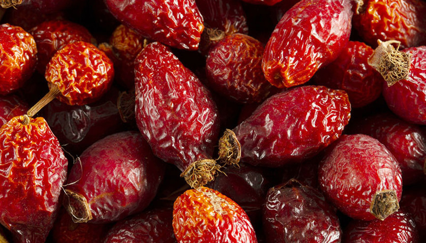 Hastalıklara karşı kalkan oluyor... Kış aylarında en çok tüketilen bitki çayları ve faydaları