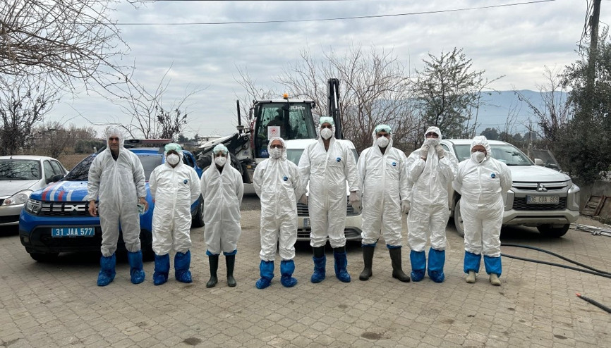 Hatayda tavuk vebası görülen mahallede 338 kanatlı hayvan itlaf edildi