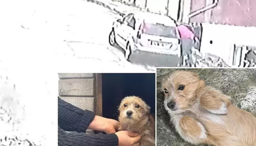Önce çöpü attı sonra köpeğini sokağa bırakıp gitti: O anlar kamerada