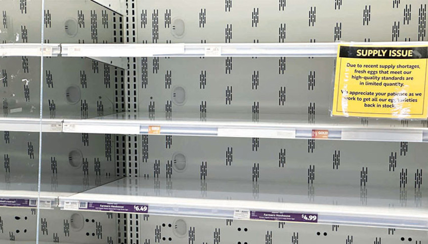 Raflar boşaldı fiyatlar arttı... ABD’de yumurta krizi