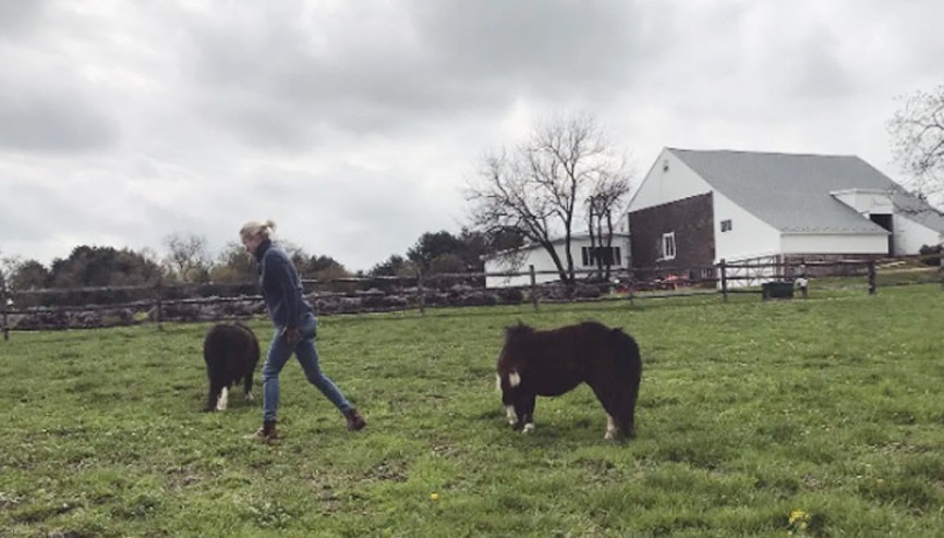 Bir evde eski sevgilisi, diğerinde yeni aşkı... Komşu evlerde huzur içinde yaşayıp gidiyorlar