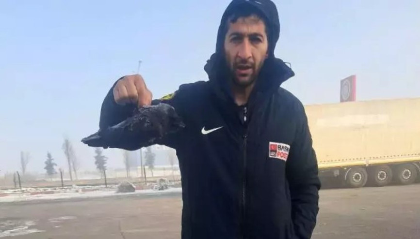 Erzurumda karga soğuktan dondu