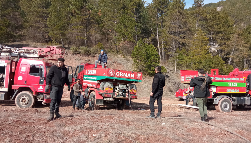 Ormanda çıkan örtü yangını söndürüldü Ormanda çıkan örtü yangını söndürüldü