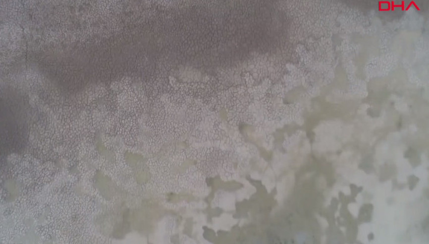 Son 50 yılda, iki Marmara Denizi büyüklüğünde sulak alan kaybedildi