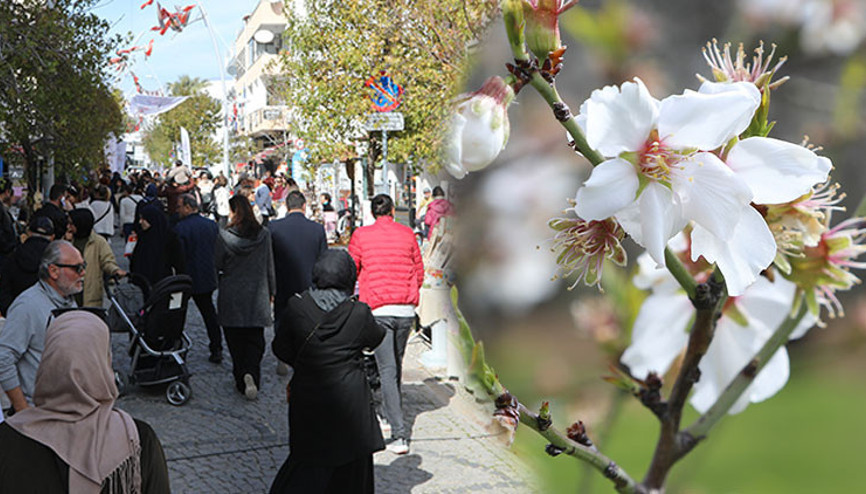 Badem çiçekleri açtı, Datça’da festival coşkusu yaşandı