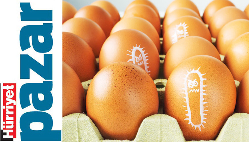 Sağımız solumuz salmonella