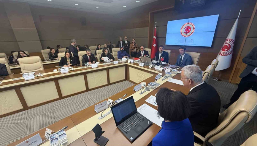 TBMM Bebek Ölümlerini ve Özel Sağlık Kuruluşlarını Araştırma Komisyonu toplandı