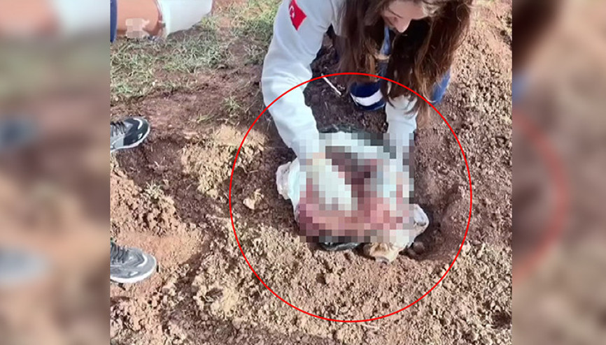 Poşette bebek cesedi bulunmuştu... Cani anne her şeyi itiraf etti