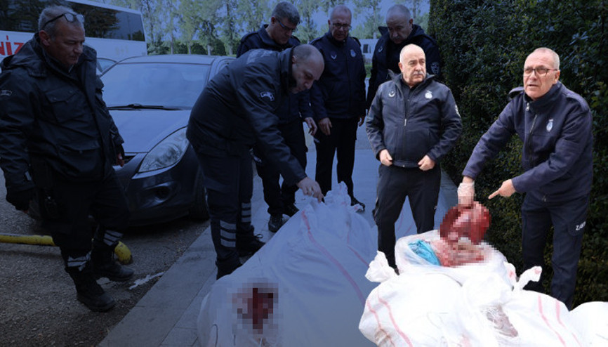 Antalyada otobüs terminalinde çuvallarda taşınan 1,5 ton ciğer ele geçirildi