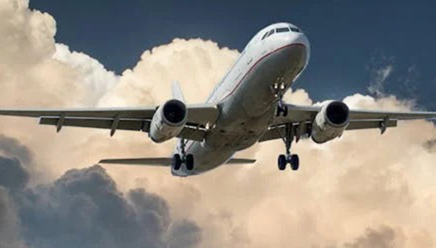 Kuş çarpan kargo uçağı acil iniş yaptı