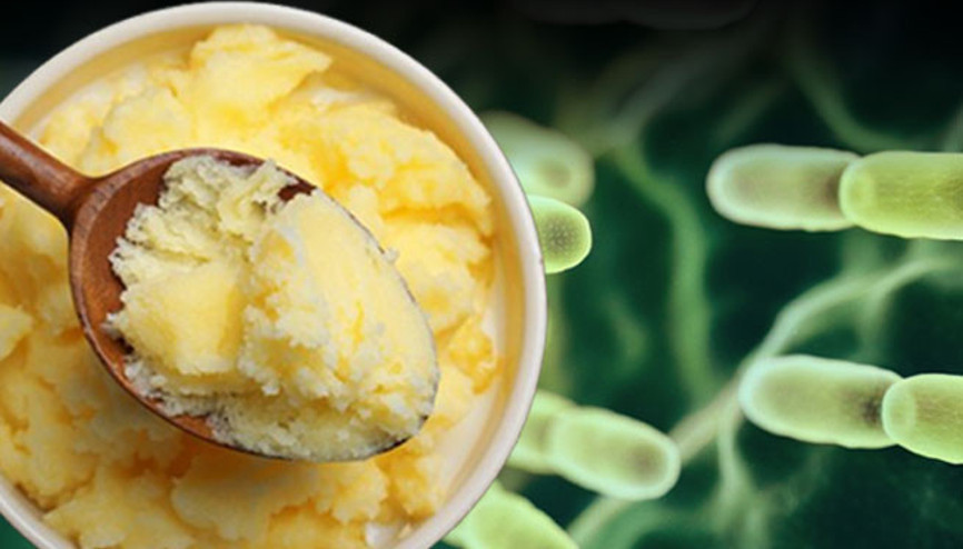 Vücudunuzun gizli şifacısı Bağırsaklardaki süper güç ‘bütirat’ bizi adeta bir kalkan gibi koruyor