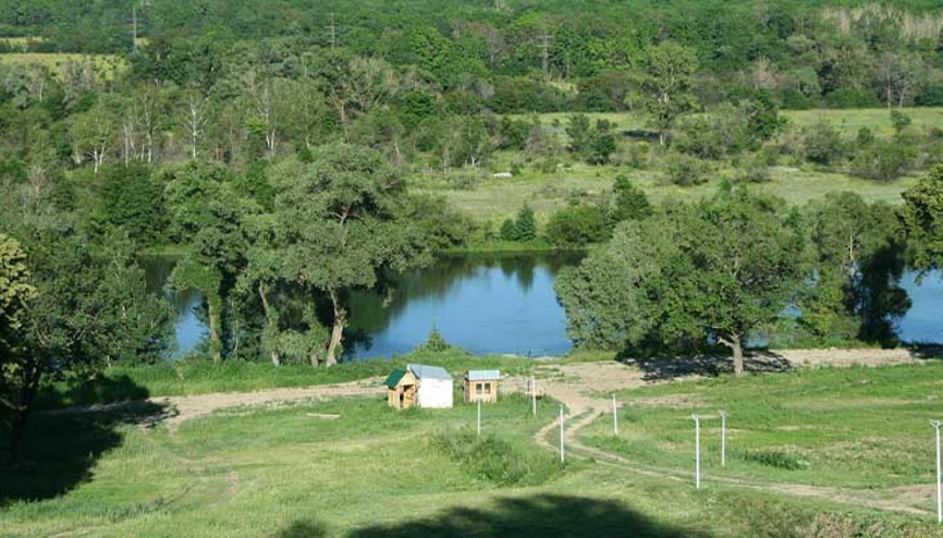 Polis her yerde tecavüzcüyü arıyor