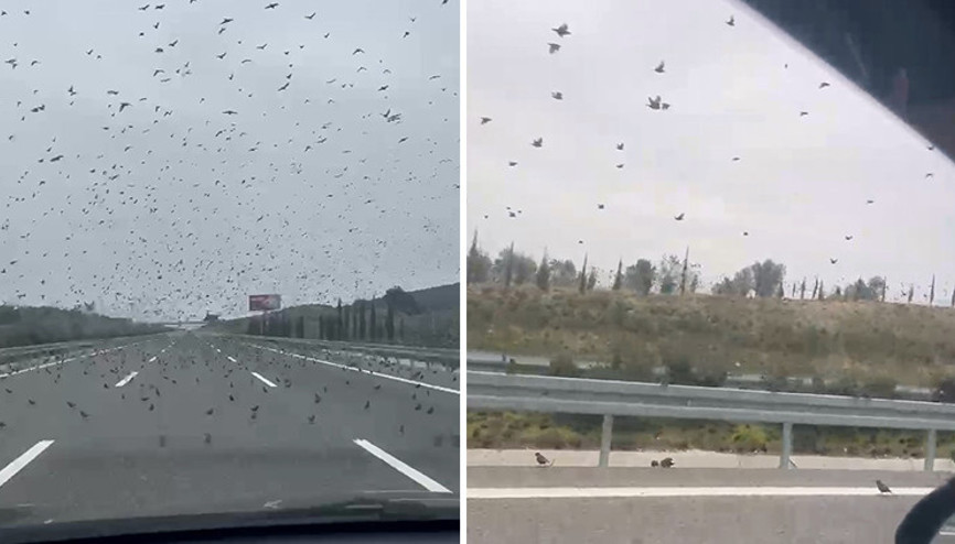 İstanbul-İzmir otobanında şaşırtan görüntü