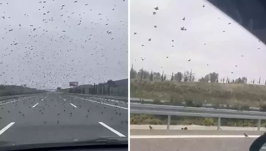 İstanbul - İzmir otobanında sürücüleri şaşırtan görüntü Hemen kayda aldılar