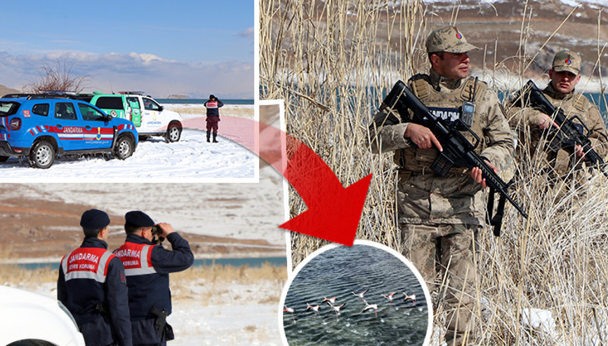 2.5 milyon lira cezası var Jandarma onları korumak için nöbette: Termal kameralar ve dronlarla takipteler