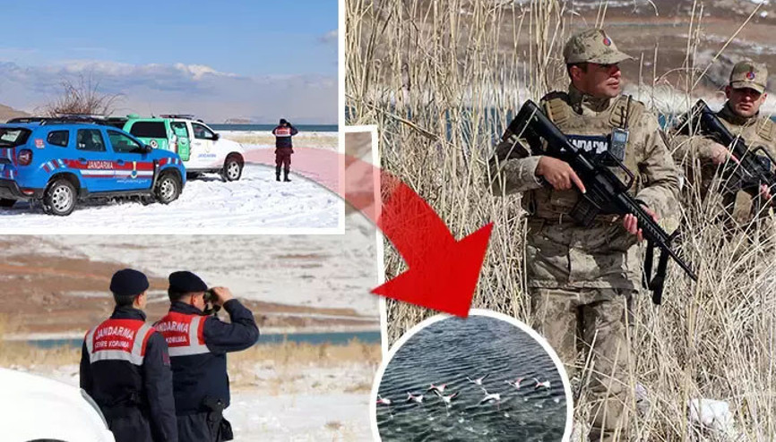 2.5 milyon lira cezası var Jandarma onları korumak için nöbette