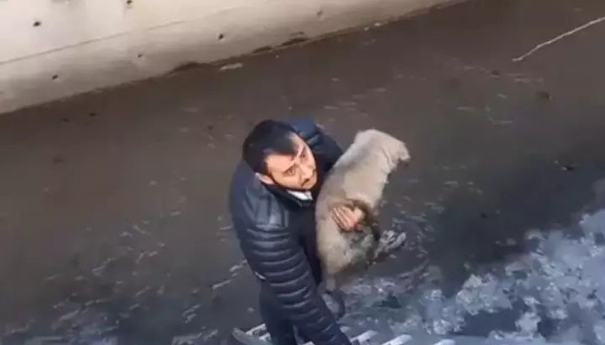 Köpeği Corsiyi kurtarmak isterken derede mahsur kaldı İtfaiye ekipleri kurtardı