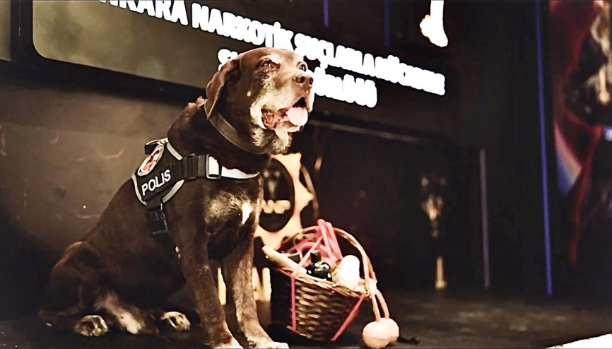 Narkotik köpeği ‘Toma’ emekli oldu