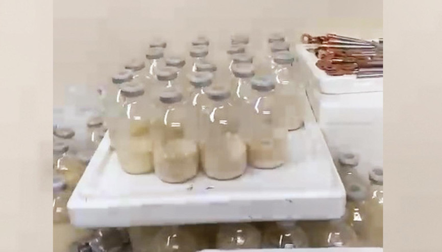 Genetik vurguna mühür Genetik vurguna mühür