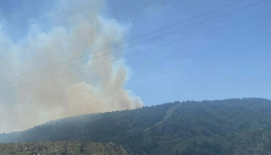 Çanakkalede orman yangını