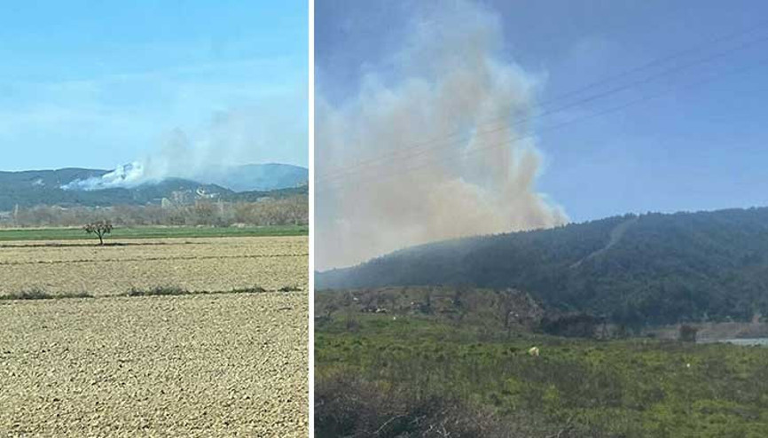 Çanakkale Geliboluda orman yangını