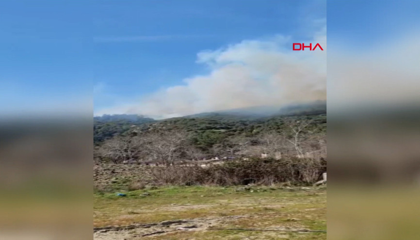 Çanakkalenin Eceabat ilçesinde orman yangını