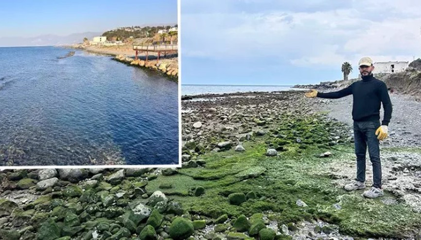 Hatay’da deniz, 20 metre çekilmişti Normal seviyesine dönmeye başladı