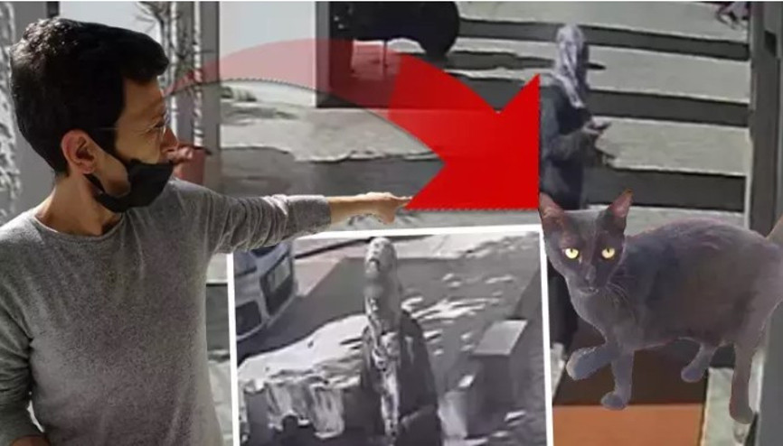 Mahalle sakinleri endişeli Siyah kediyi sepete koyup götürdü: O anlar kamerada