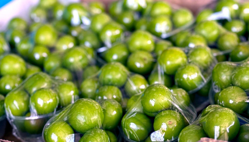 Sadece 10 kilo toplandı Dubai ve Katara ihraç edildi... İlk hasat eriklerin fiyatı şaşırttı | 100 gramlık paketlerde satılıyor