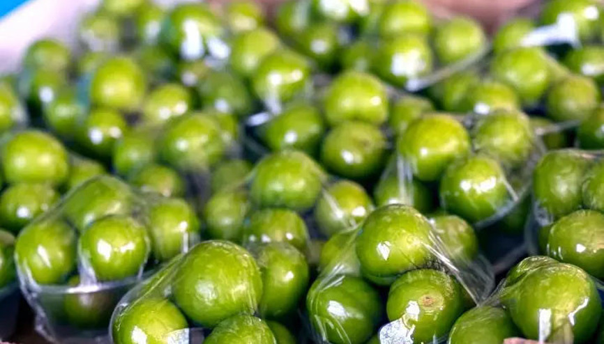 Sadece 10 kilo toplandı Dubai ve Katara ihraç edildi... İlk hasat eriklerin fiyatı şaşırttı