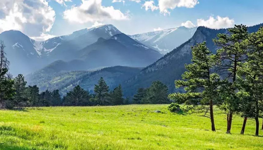 Doğa belgeselleri ağrıyı hafifletebilir Doğa belgeselleri ağrıyı hafifletebilir