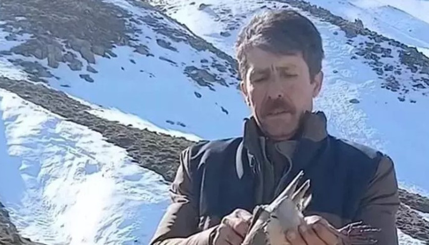 Batmanlı vatandaş, bulduğu keklikleri sevdikten sonra doğaya bıraktı