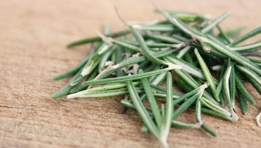 Alzheimer tedavisinde çığır açan keşif: Biberiye ve ada çayı ile yeni bir umut