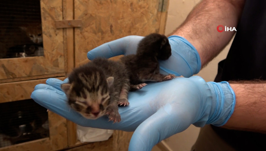 Görüntüler duygusal anlara neden oldu...