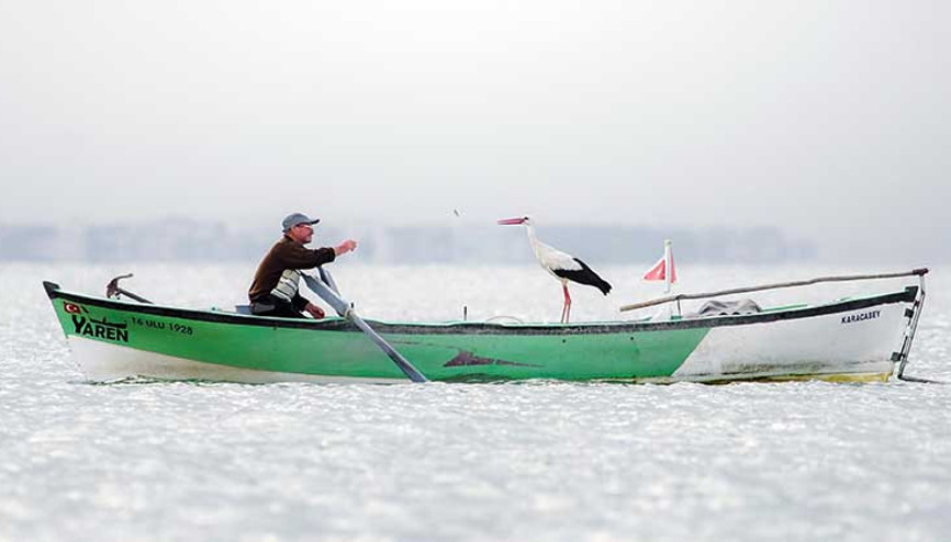 Yaren leyleğin fotoğrafına Avrupa’dan ödül