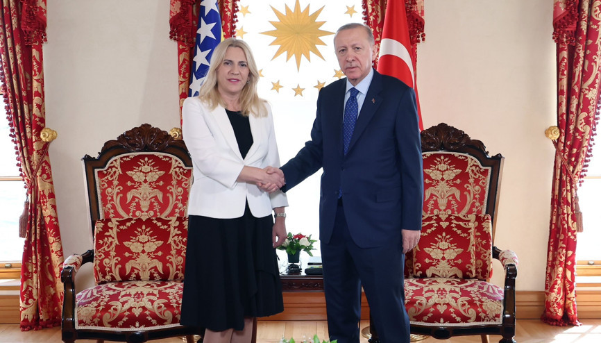 Cumhurbaşkanı Erdoğan, Jelka Sviyanoviçi kabul etti
