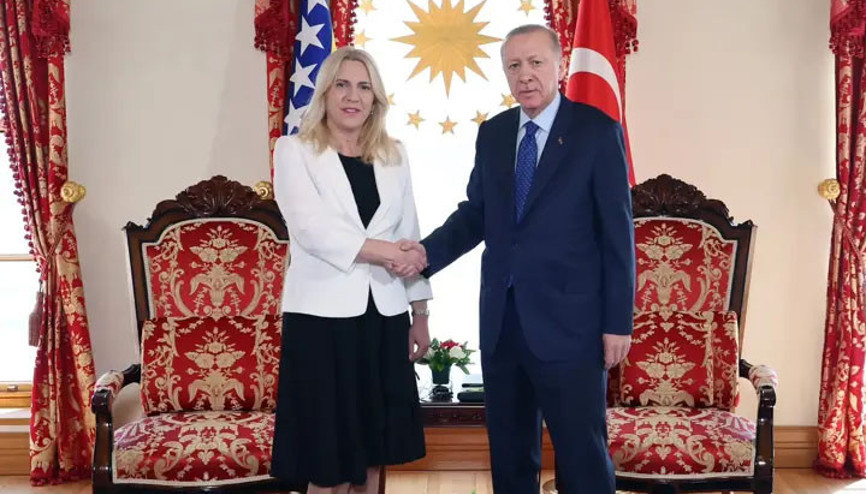 Cumhurbaşkanı Erdoğan, Jelka Sviyanoviçi kabul etti