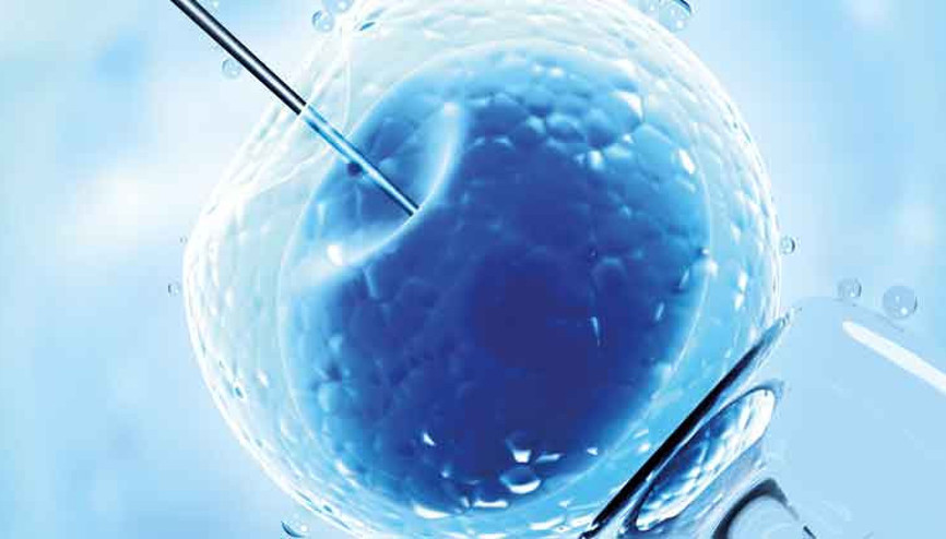 Omurilik felcine kök hücre tedavisi