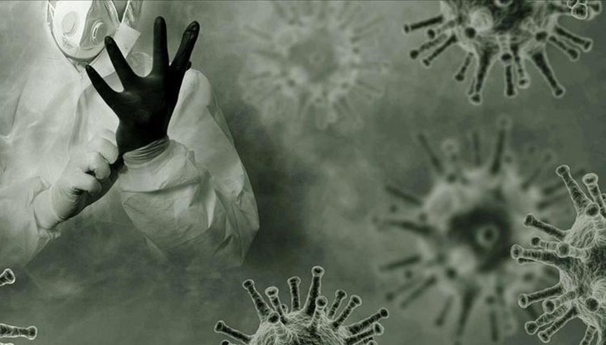 İngilterede korkutan gelişme: Koyunda kuş gribi tespit edildi