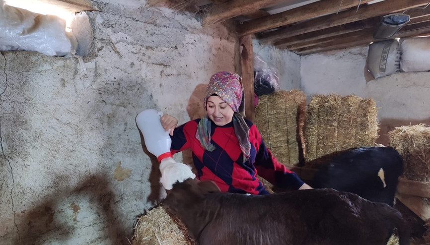 Bilezik parasıyla alınan iki buzağıdan dev işletmeye... Gönül Hanım’ın çiftliği Bilezik parasıyla alınan iki buzağıdan dev işletmeye... Gönül Hanım’ın çiftliği