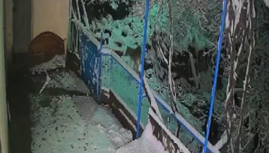 Elazığdaki hırsız çakal kamerada: Bir evin balkonuna girip çaldı