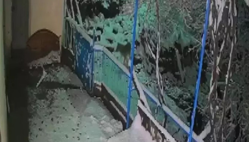 Elazığ’da köye inen çakalın evin balkonundaki tepsiyi çalma anı kamerada