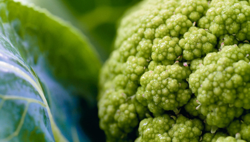 Bu besinler yaşlanma belirtilerini geciktiriyor İşte sihirli liste Bu besinler yaşlanma belirtilerini geciktiriyor İşte sihirli liste